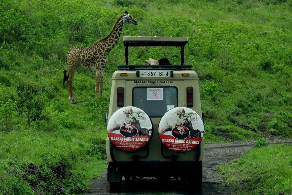 extension pour safari