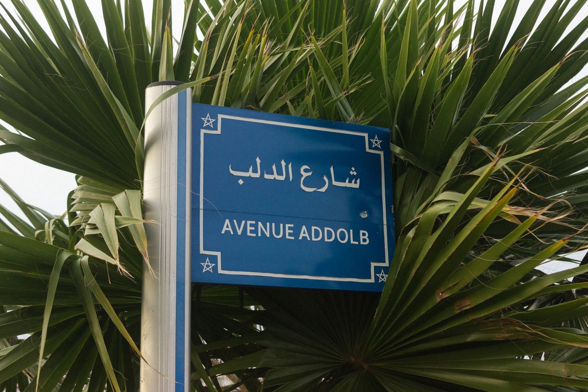 guillaume farde origine arabe