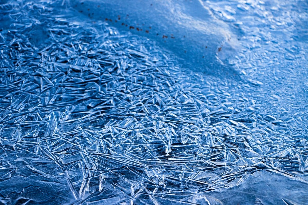 freeze fortnite