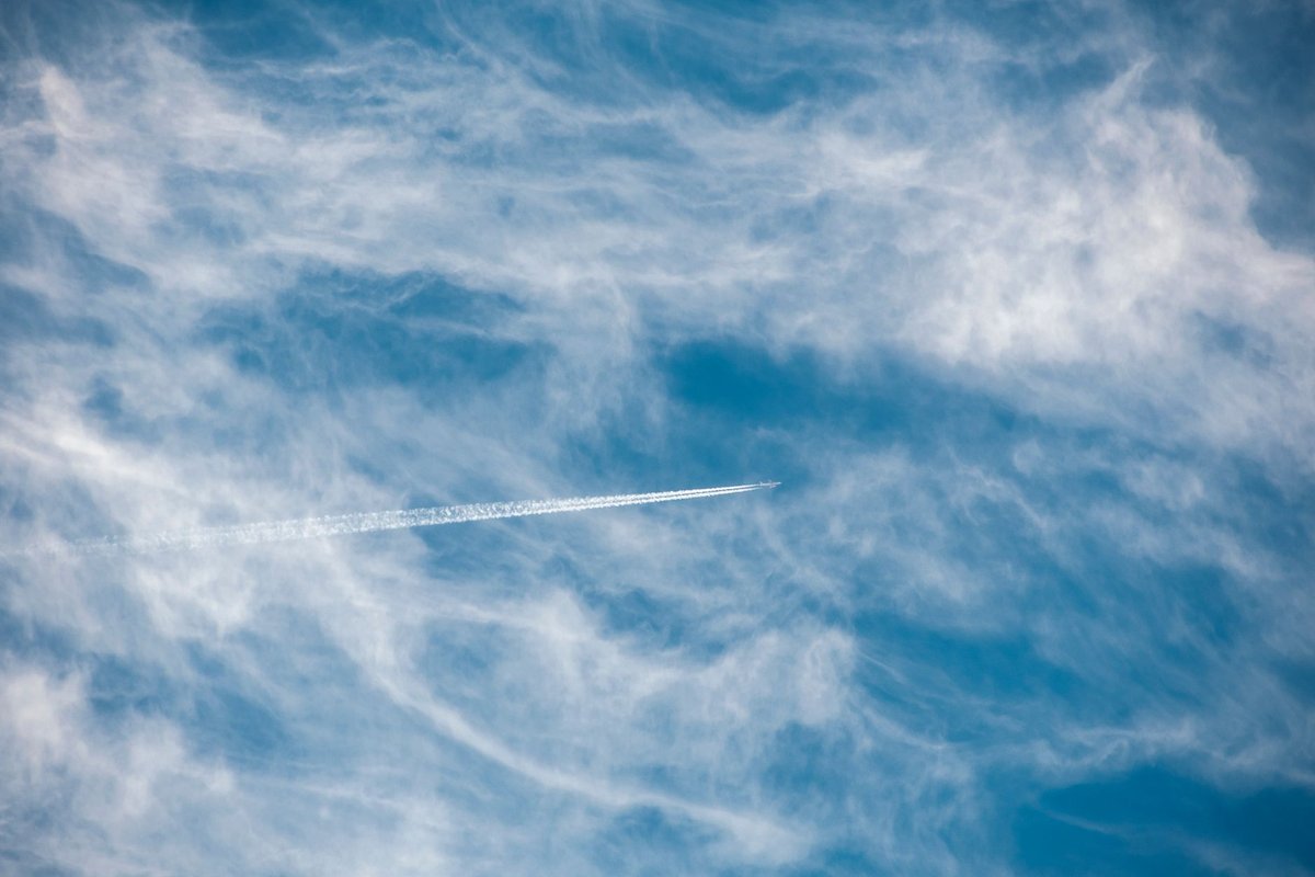 tomacloud streaming